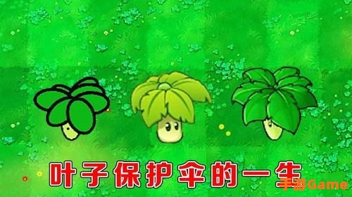 叶子保护伞