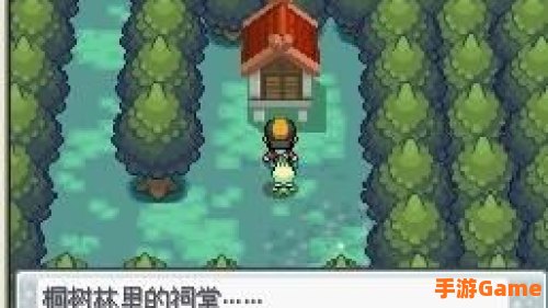 口袋妖怪心金雪拉比